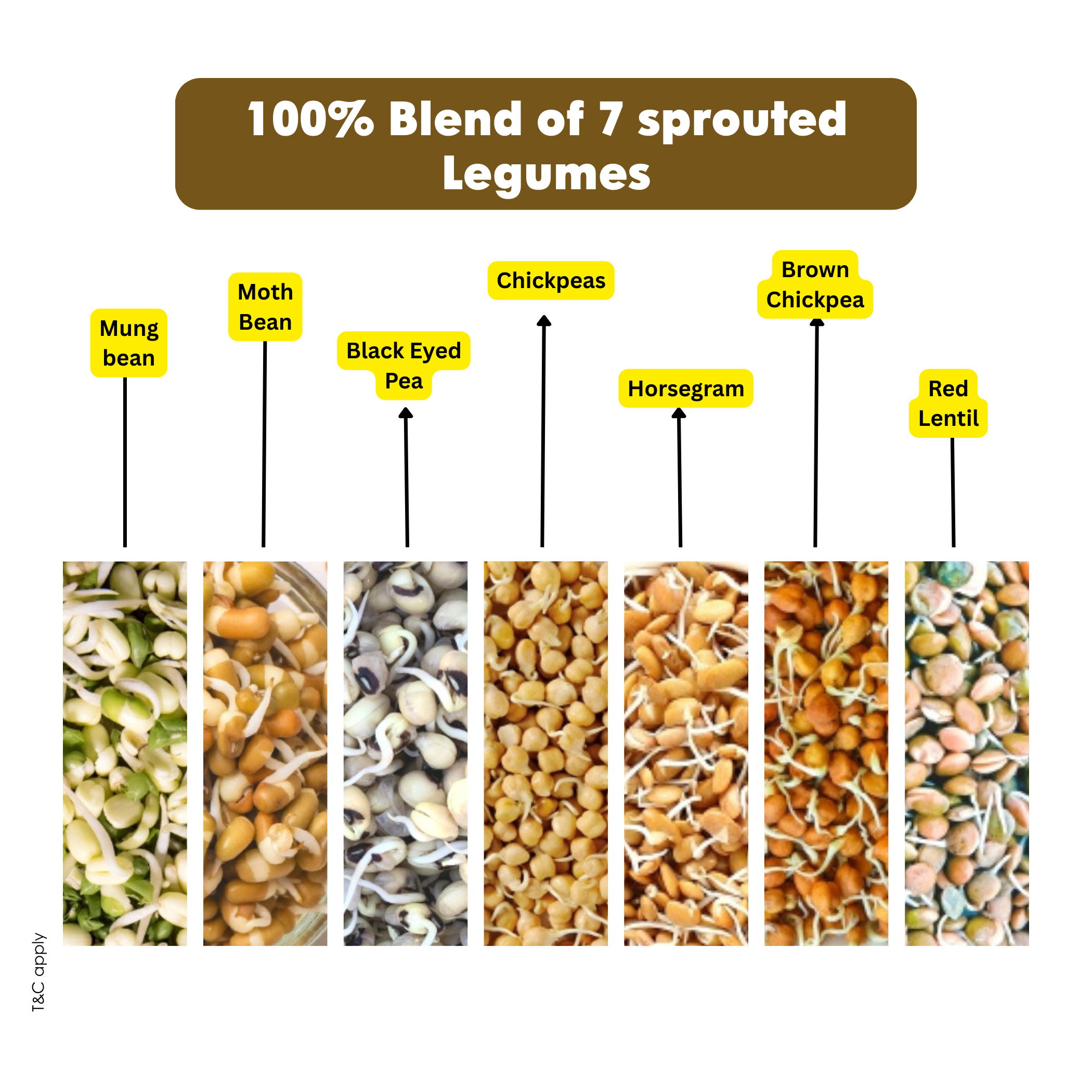 Ecomytra Super Legumes Mix Sprouted Flour (1 lbs)